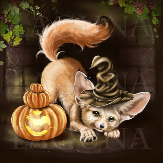 Mr. Fennec