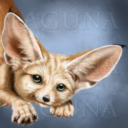 Mr. Fennec