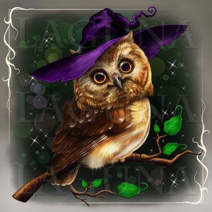 Owl in Hat Sitting on Branch