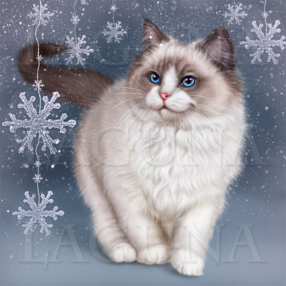 Santa Kitty (Ragdoll)