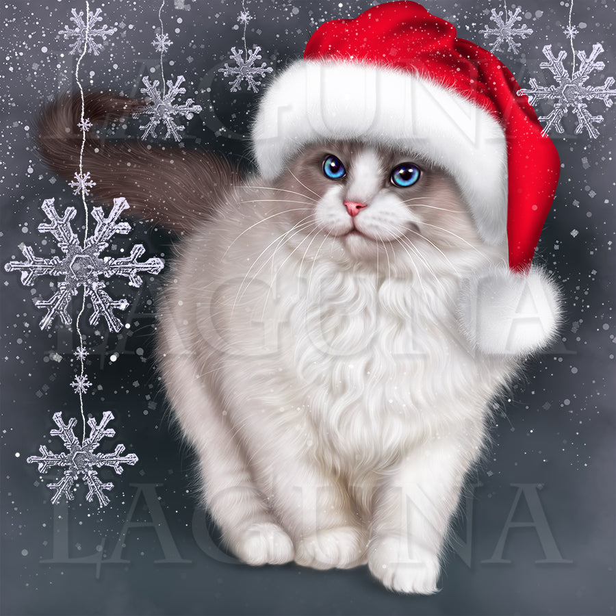 Santa Kitty (Ragdoll)