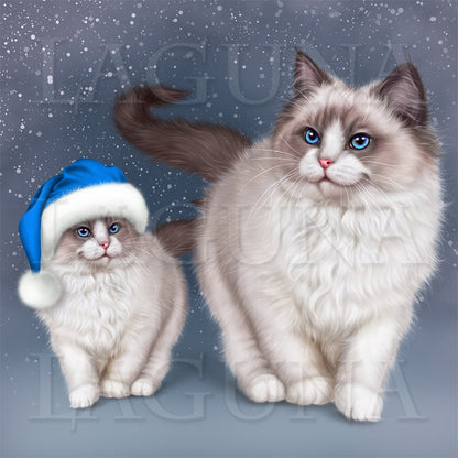 Santa Kitty (Ragdoll)