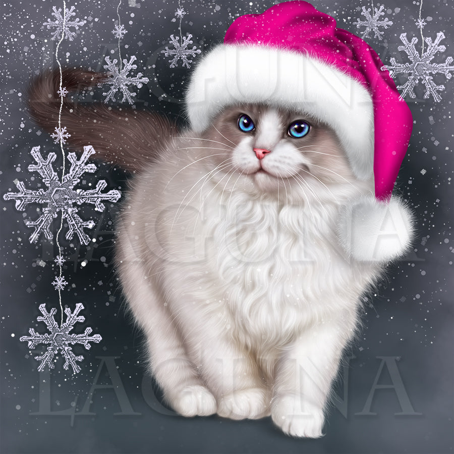 Santa Kitty (Ragdoll)