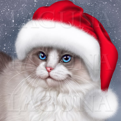 Santa Kitty (Ragdoll)