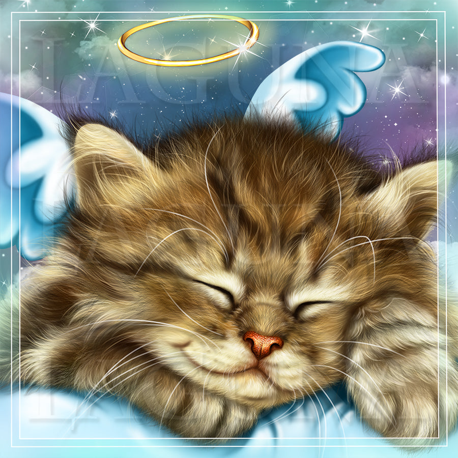 Sleeping Cupid (Kitty)