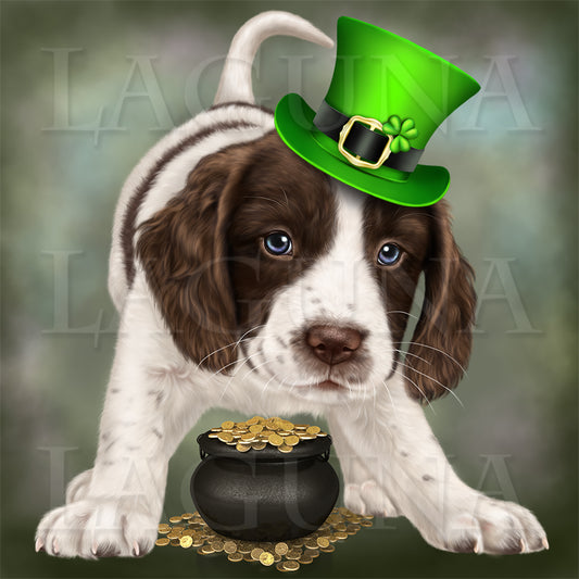 Spaniel Puppy