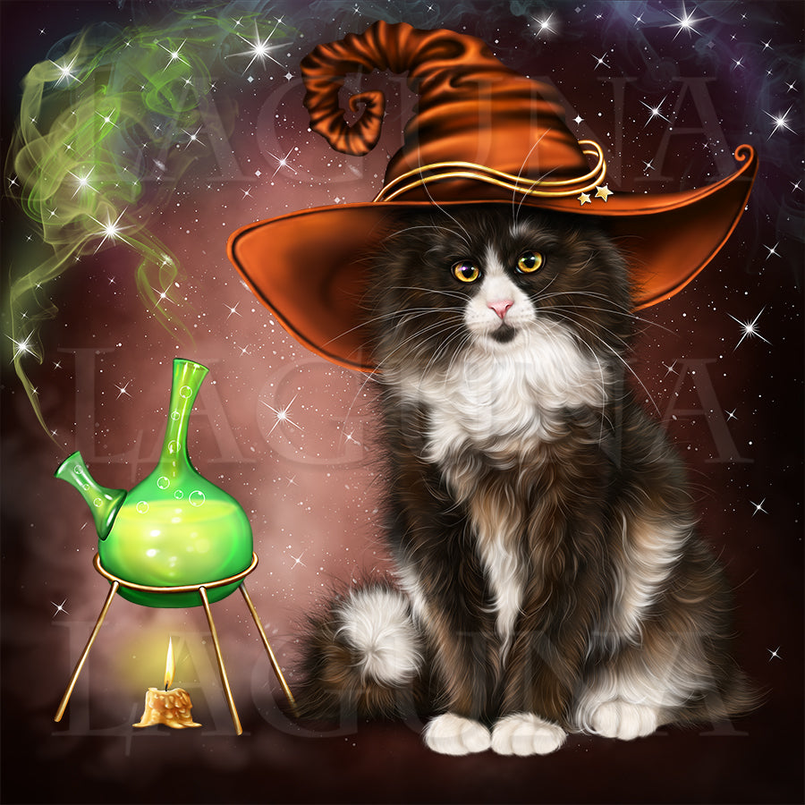 The Alchemist (Kitty)