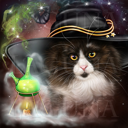 The Alchemist (Kitty)