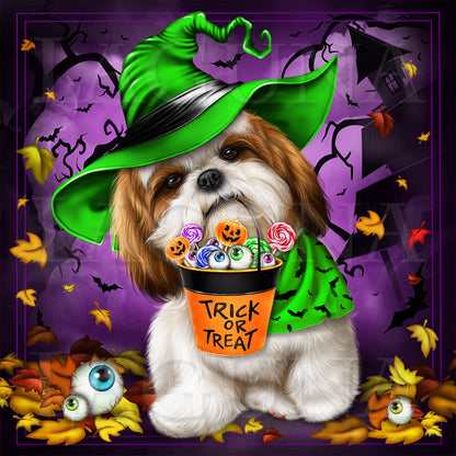 Trick or Treat (Shih Tzu)