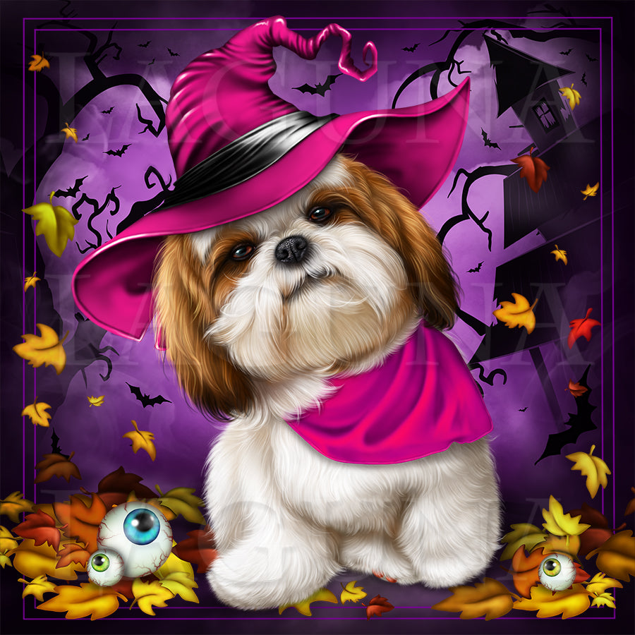 Trick or Treat (Shih Tzu)