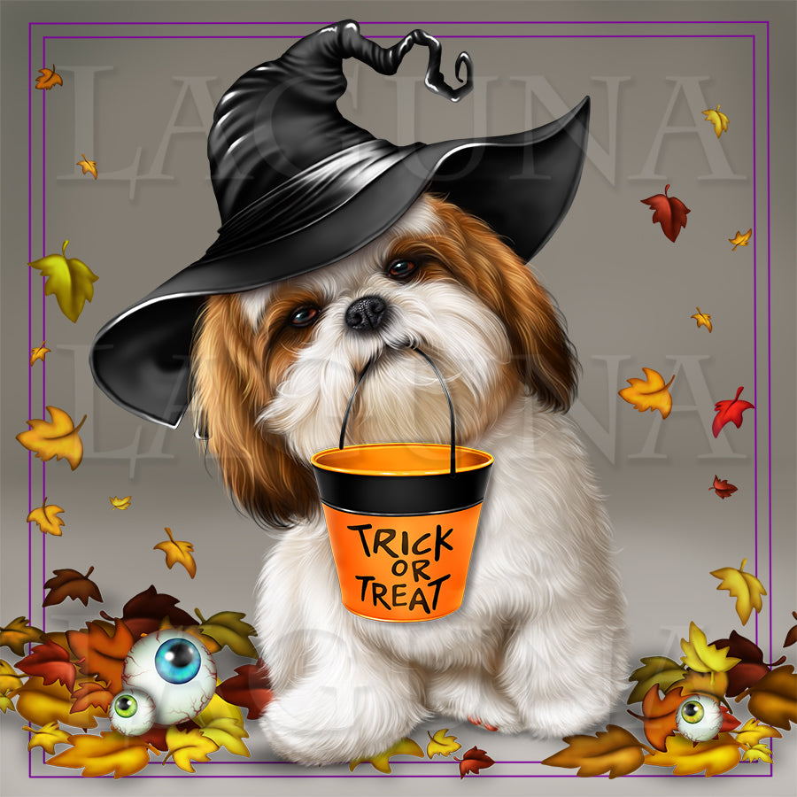 Trick or Treat (Shih Tzu)