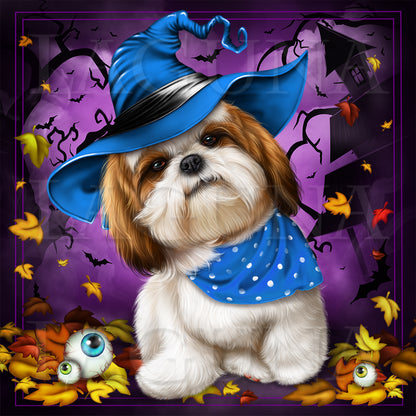 Trick or Treat (Shih Tzu)