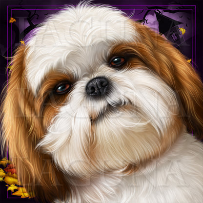 Trick or Treat (Shih Tzu)