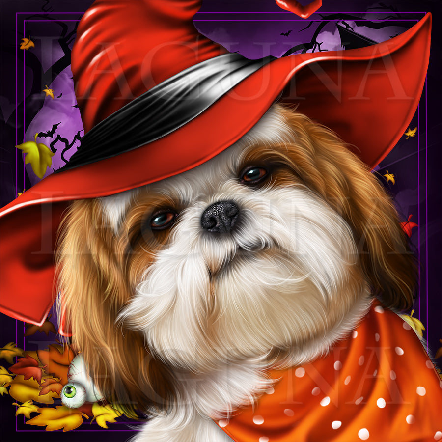 Trick or Treat (Shih Tzu)