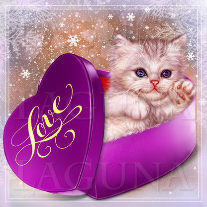 Valentine Kitten