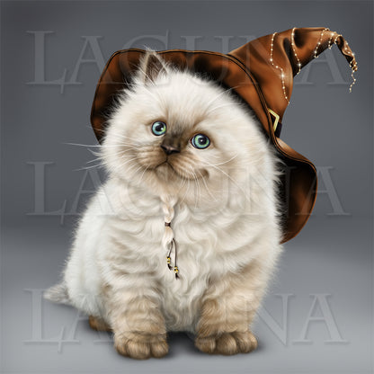Witch with a British Colorpoint Kitten