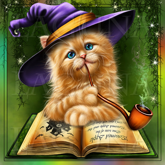 Wizard Kitty