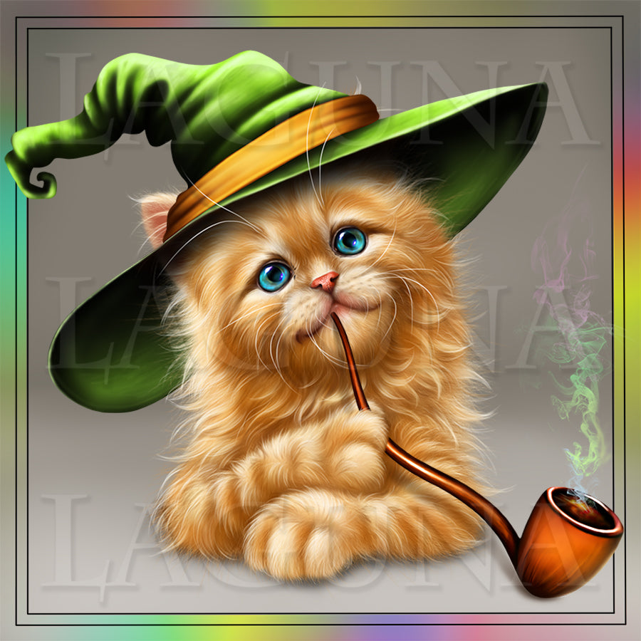 Wizard Kitty