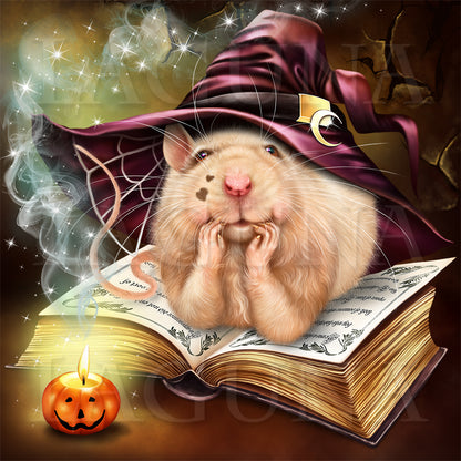 Wizard Mouse and Book