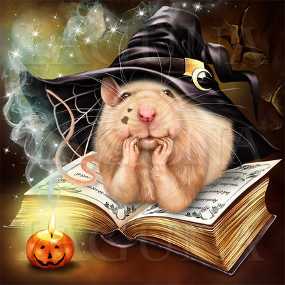 Wizard Mouse and Book