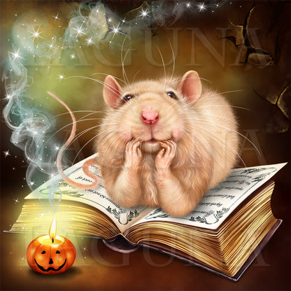 Wizard Mouse and Book