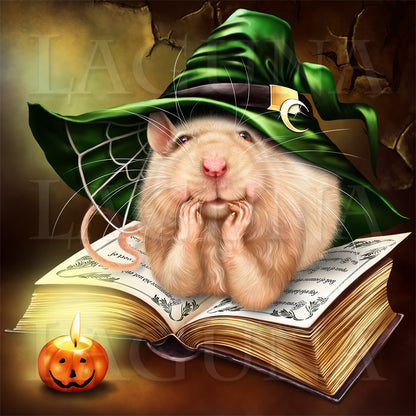 Wizard Mouse and Book