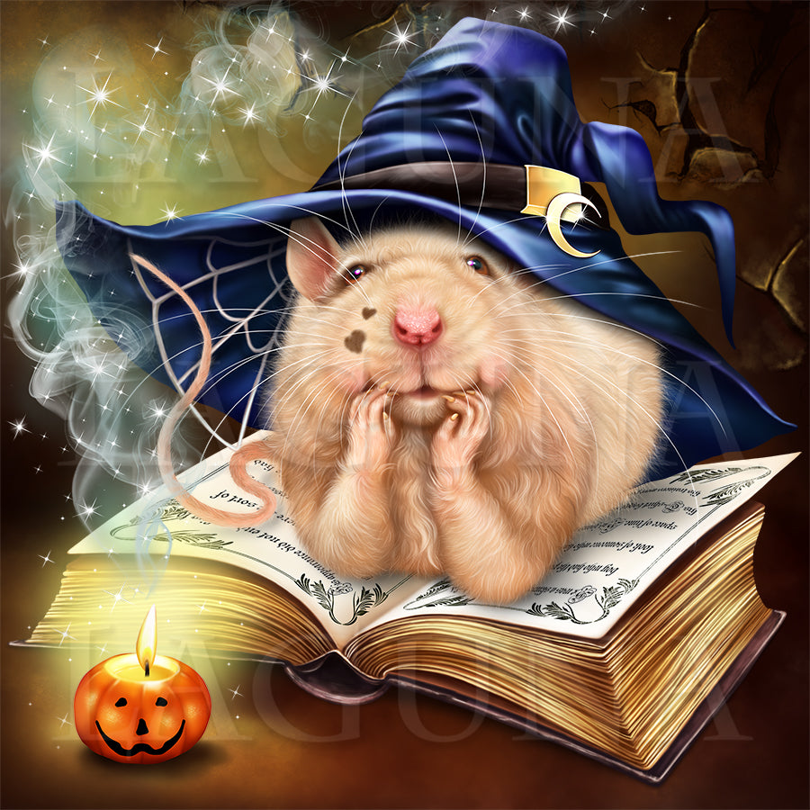 Wizard Mouse and Book