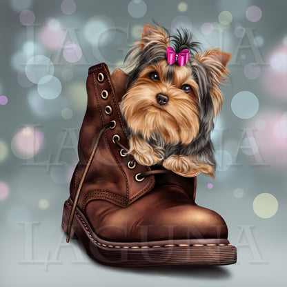 York Puppy