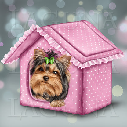 York Puppy