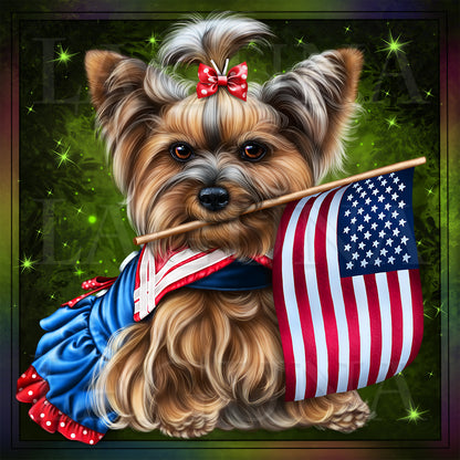 Yorkie (4th of July)