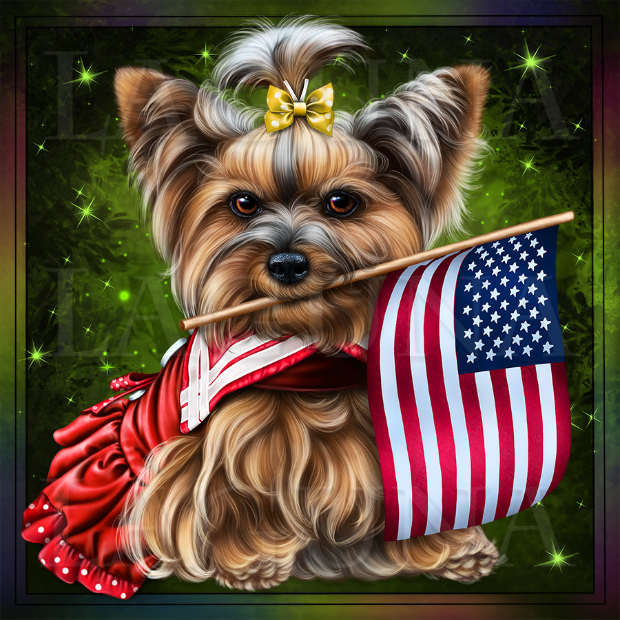 Yorkie (4th of July)